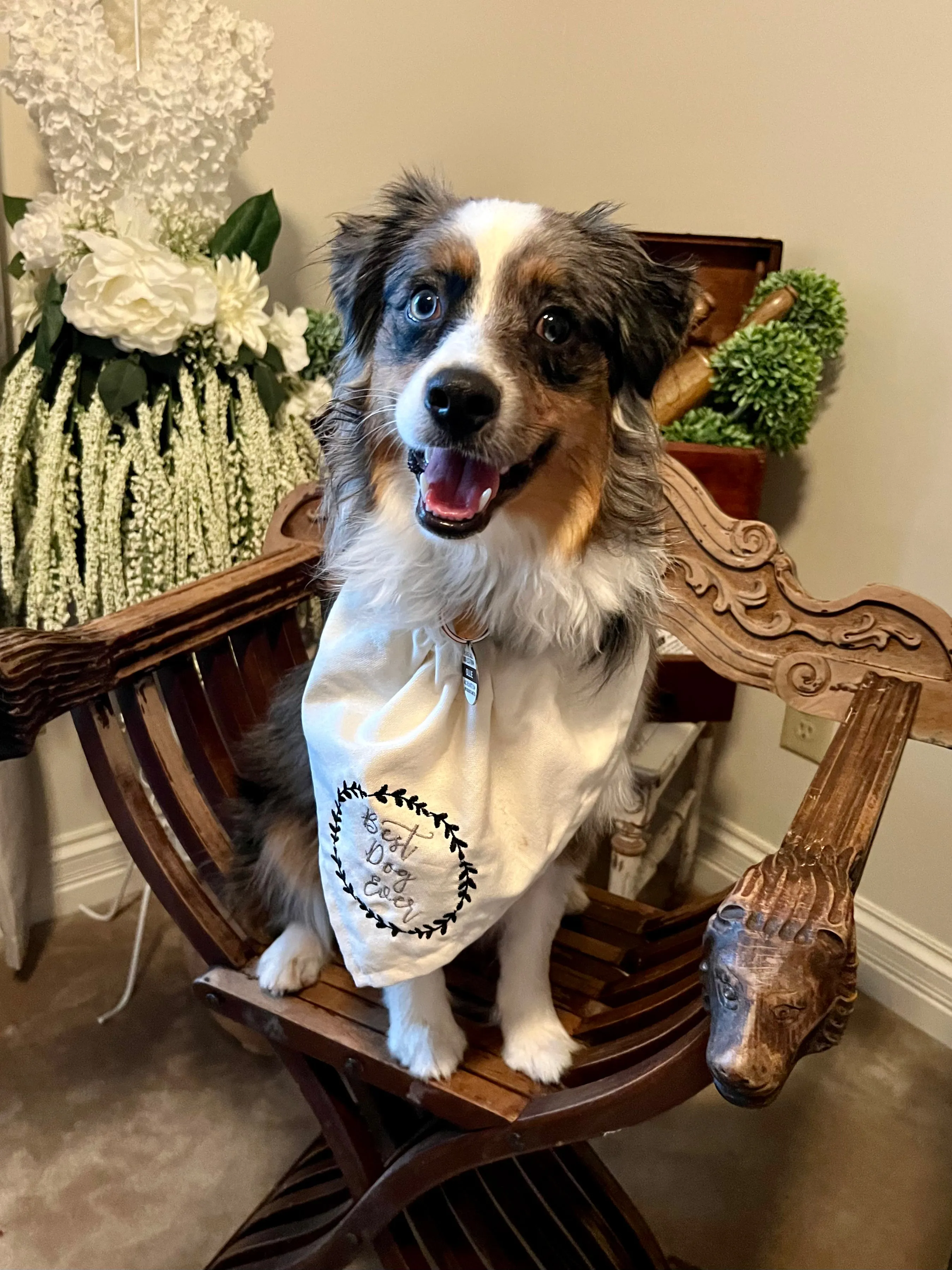 Best Dog Ever Bandanna, Small