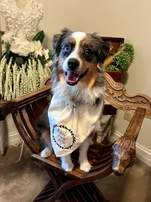 Best Dog Ever Bandanna, Small