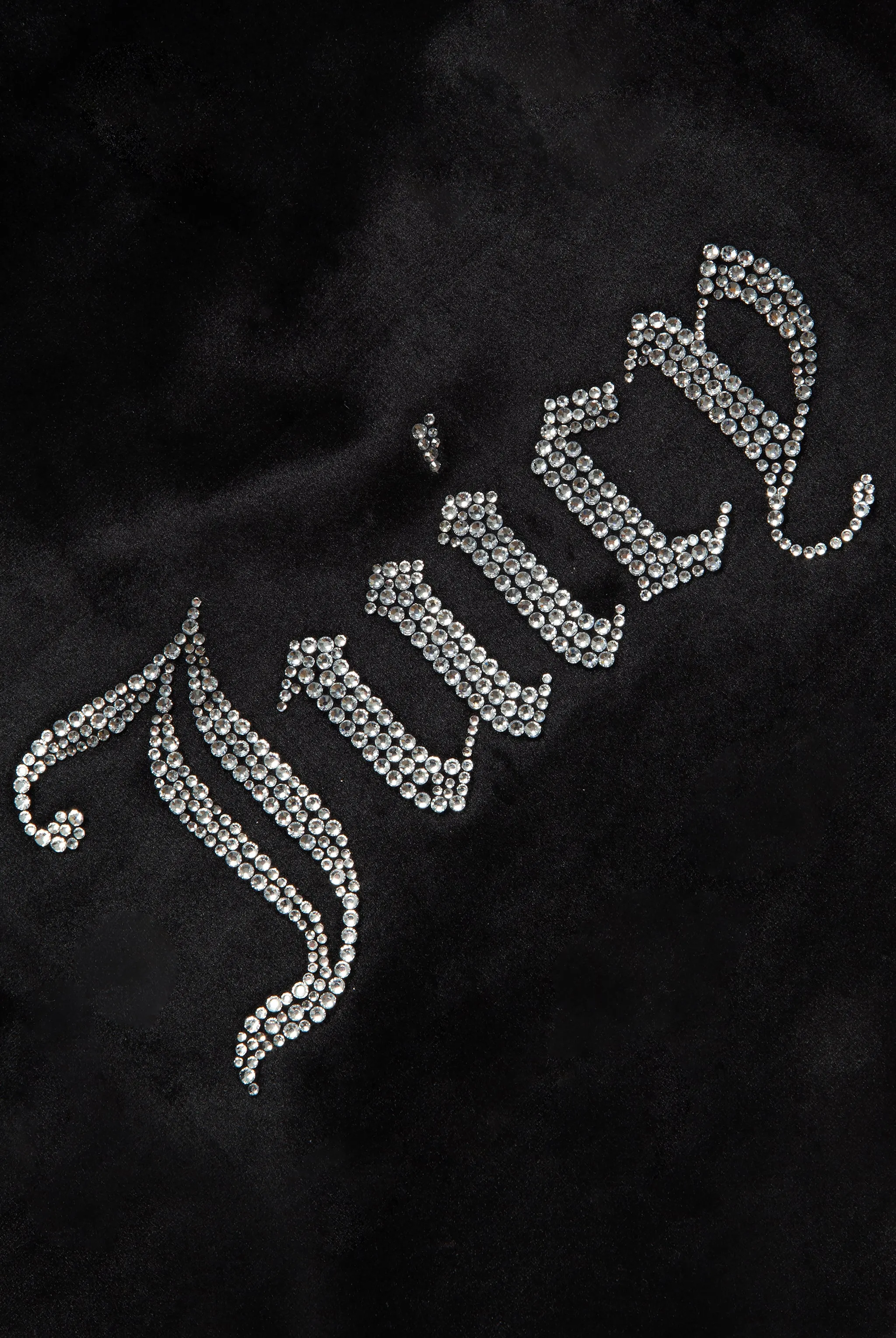 BLACK DIAMANTÉ LOGO VELOUR PET HOODIE
