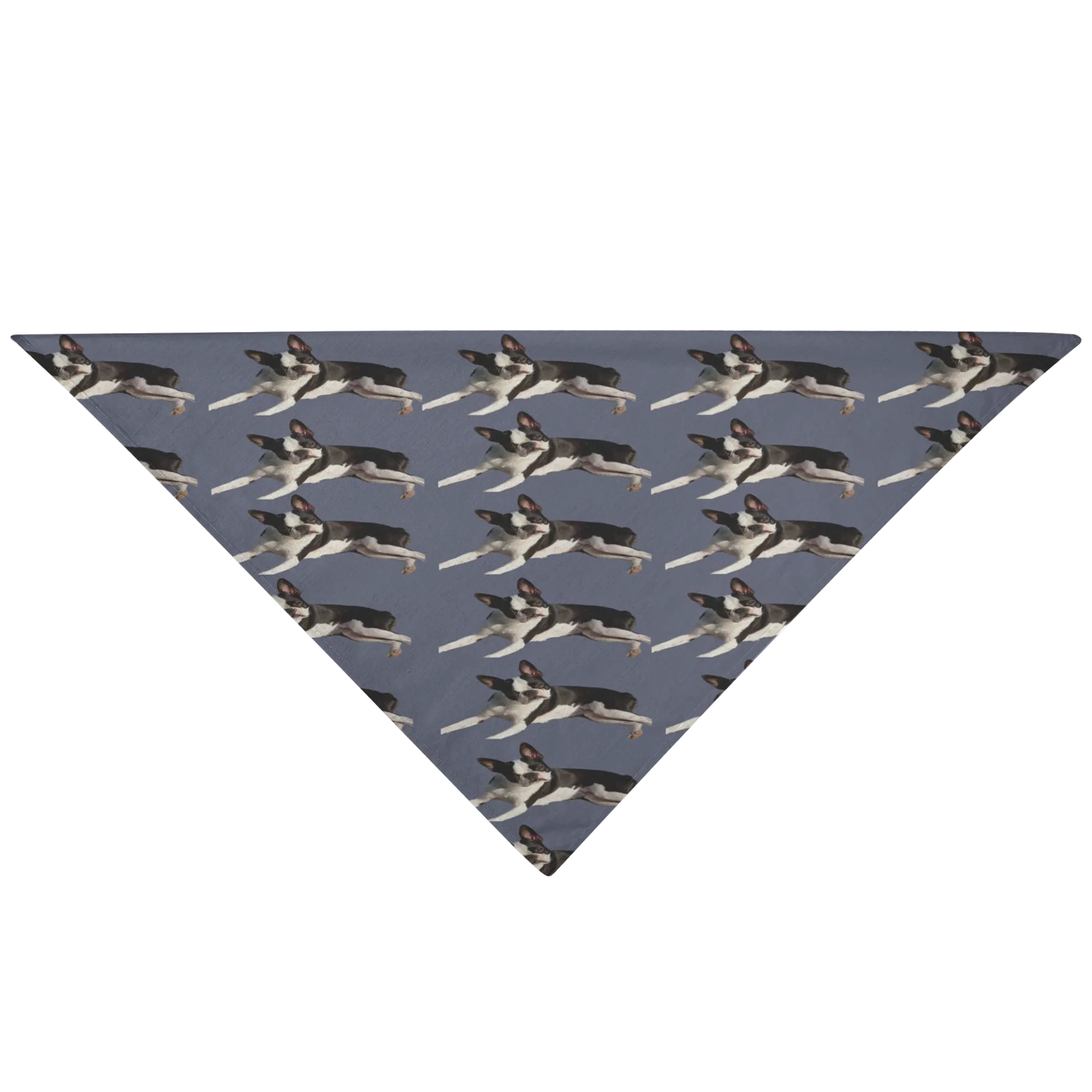 Boston Terrier Pet Bandana