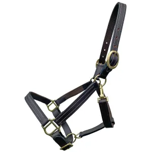 Bromont Economy Leather Halter