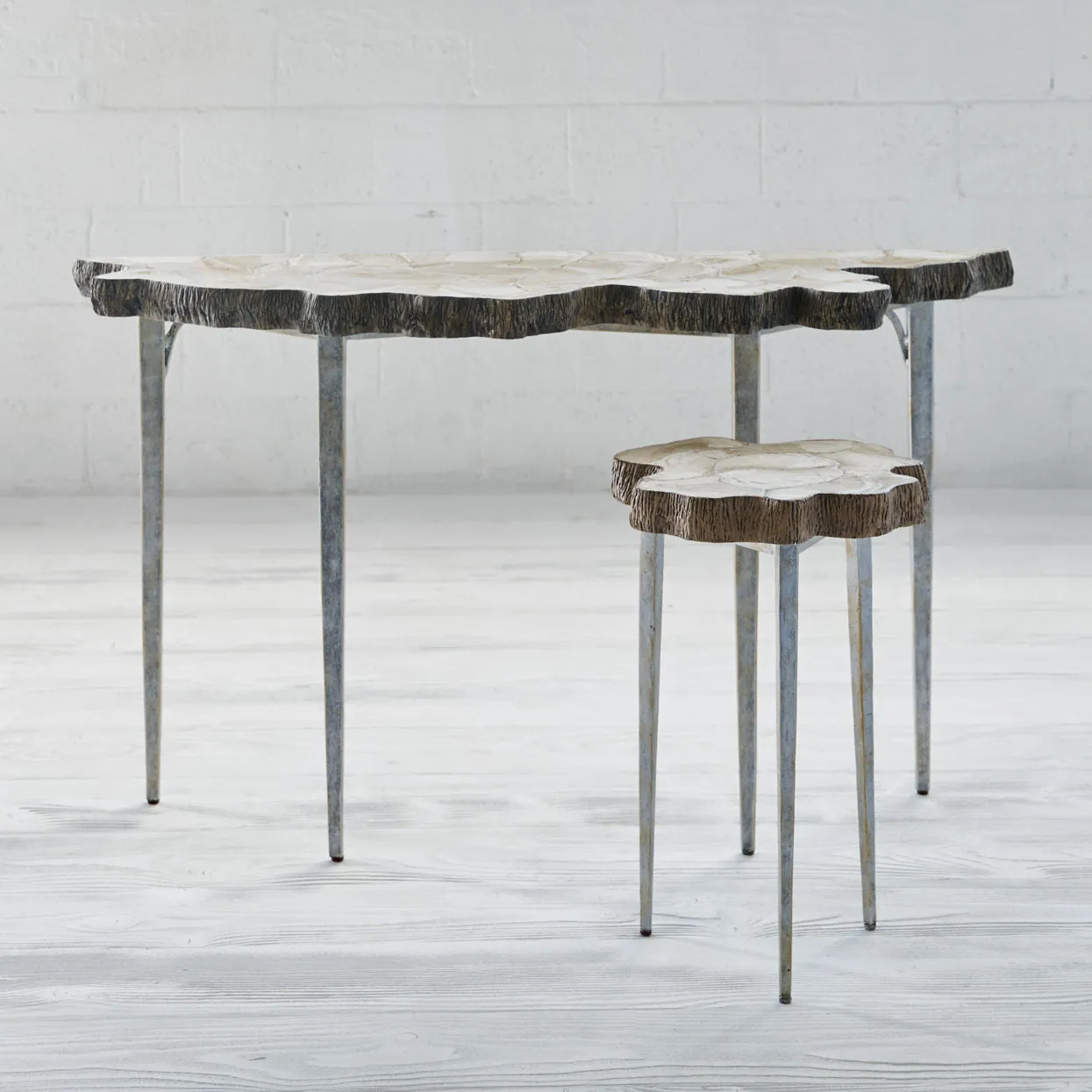 Chloe Fossilized Clam Console Table