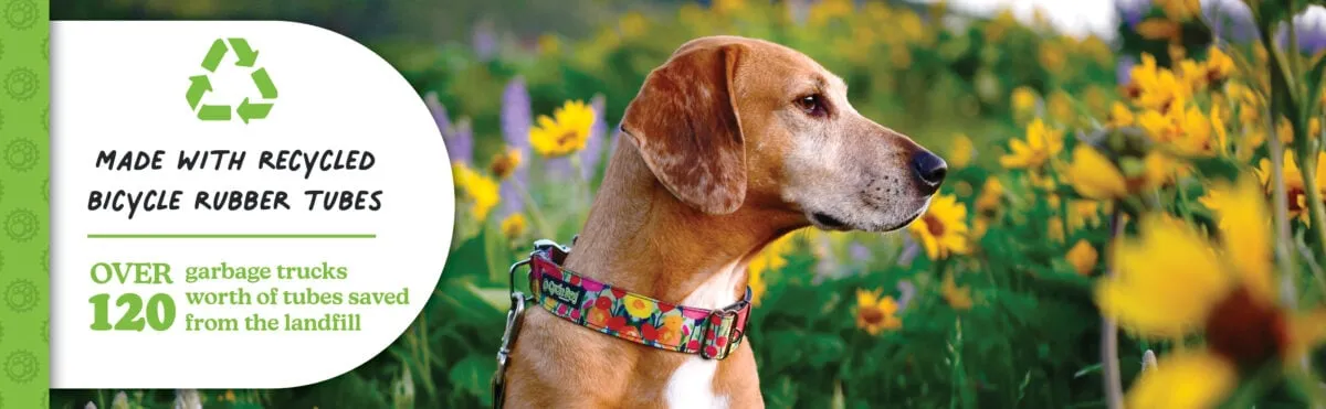Cycle Dog Reflective Collar Wide Silver Reflective