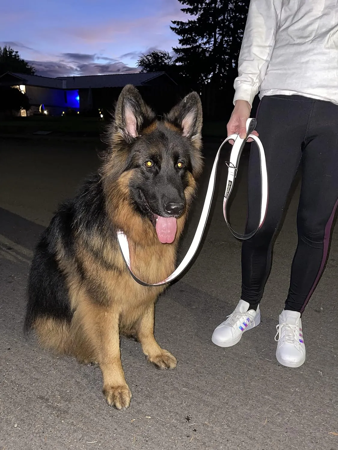 Cycle Dog Reflective Collar Wide Silver Reflective