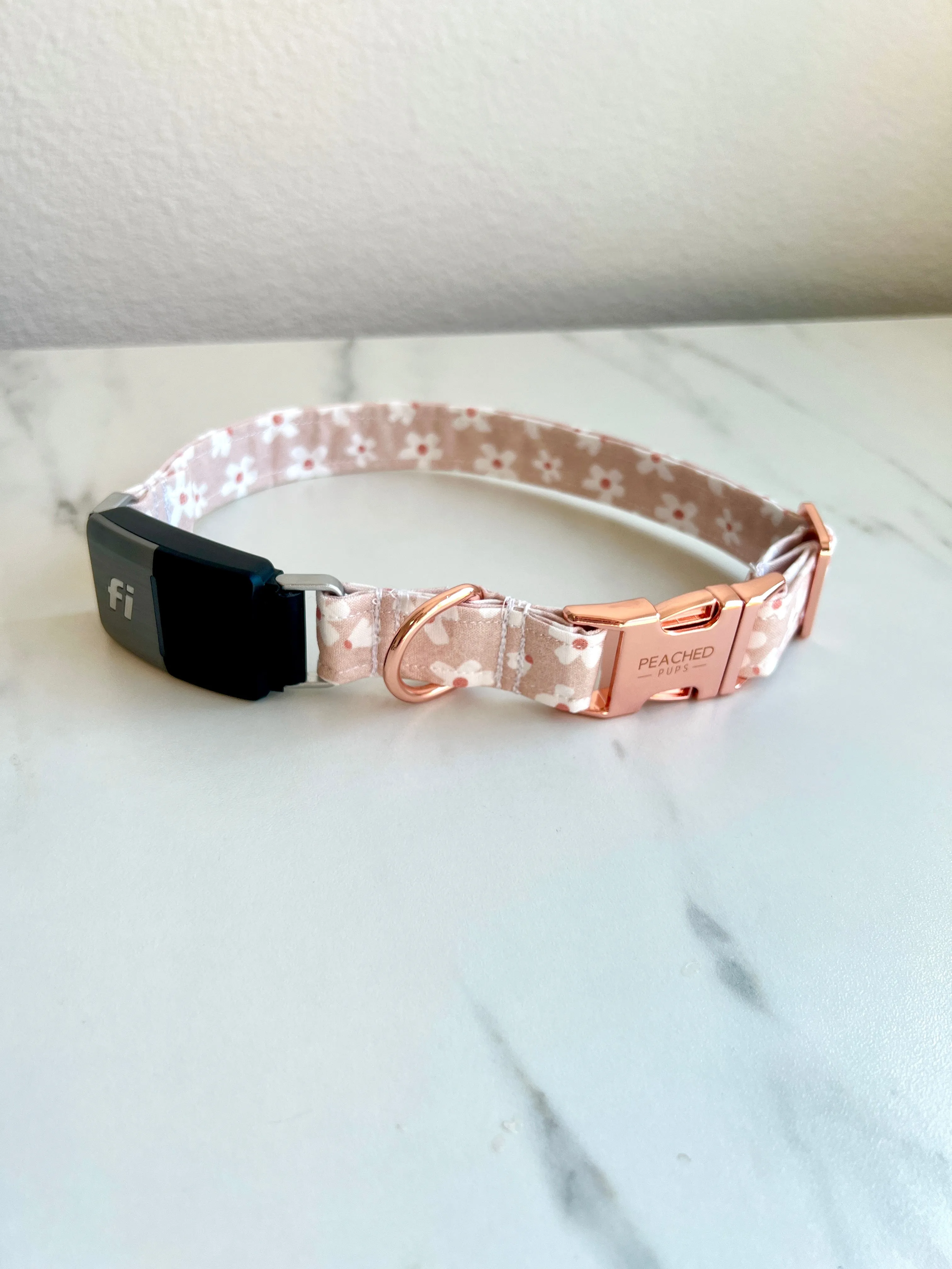 Daisy Garden Fi Compatible Collar