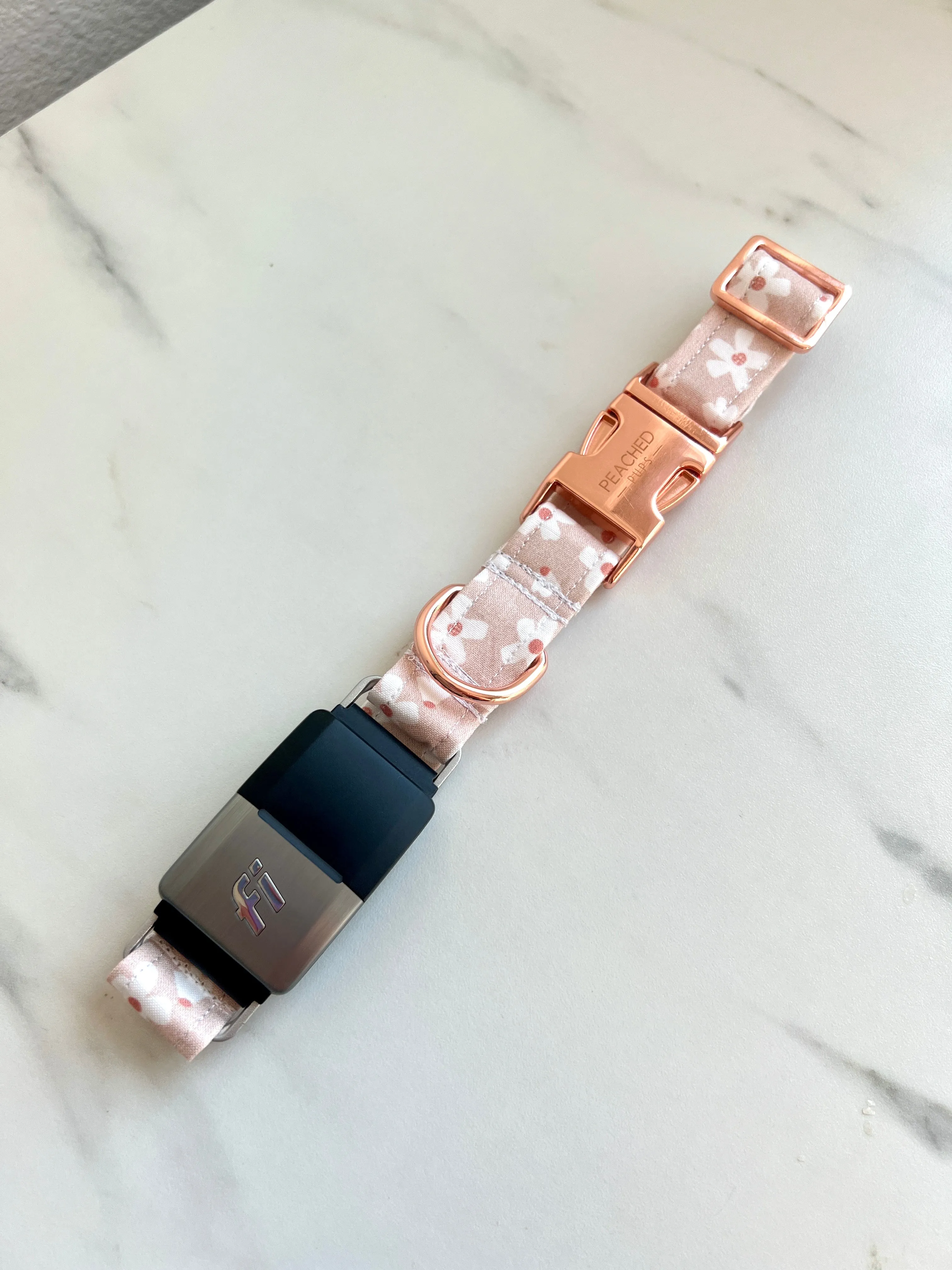 Daisy Garden Fi Compatible Collar