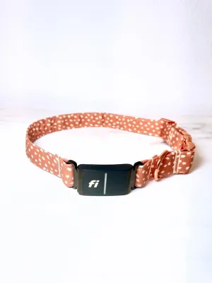 Dottie Fi Compatible Collar