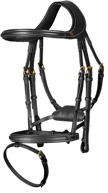 Dy'on Difference Bridle DYGXAU