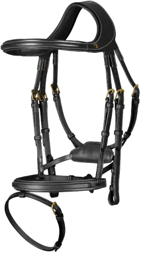 Dy'on Difference Bridle DYGXAU