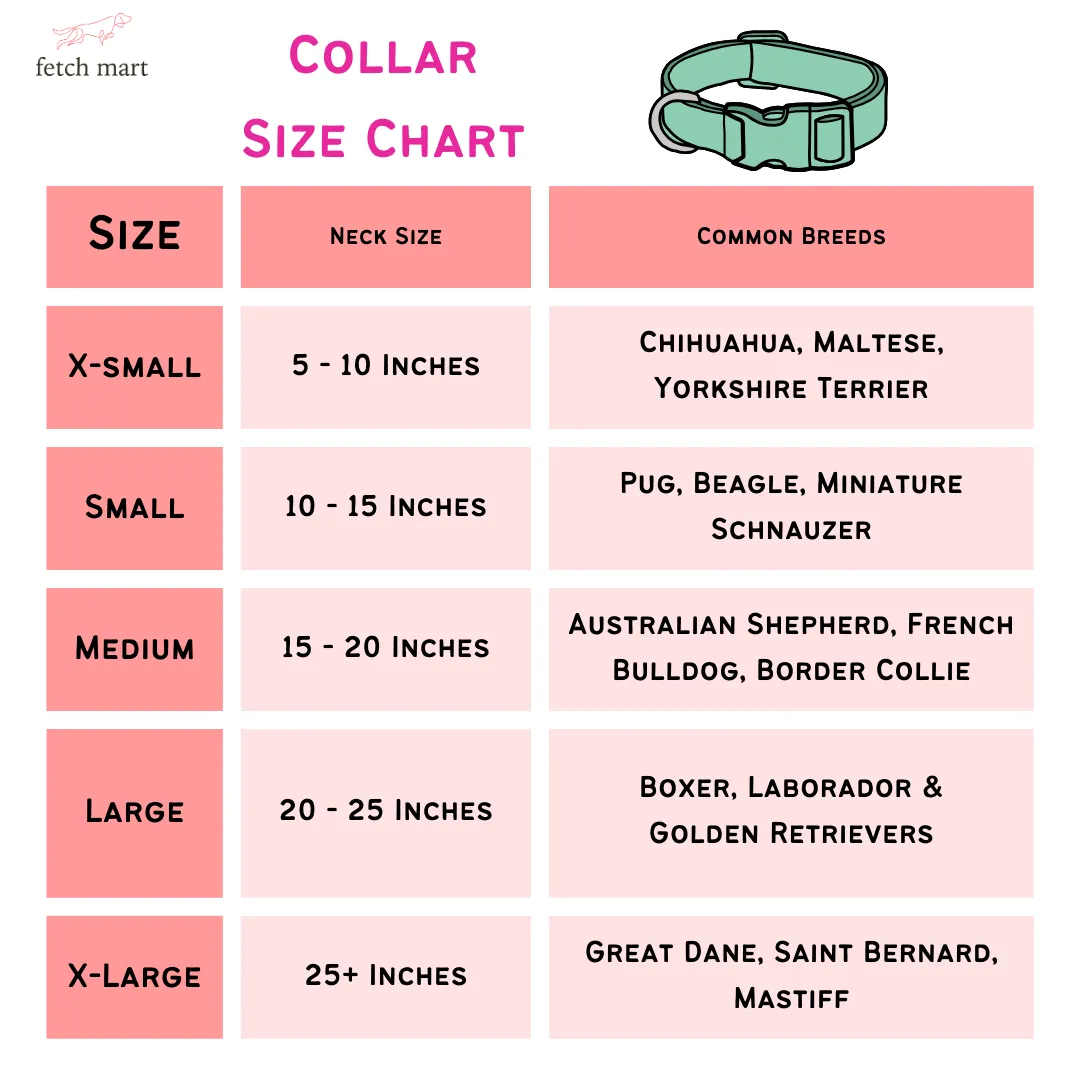 Eggplant Gingham Collar