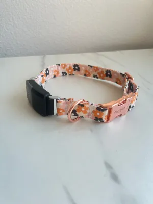 Fall Florals Fi Compatible Collar