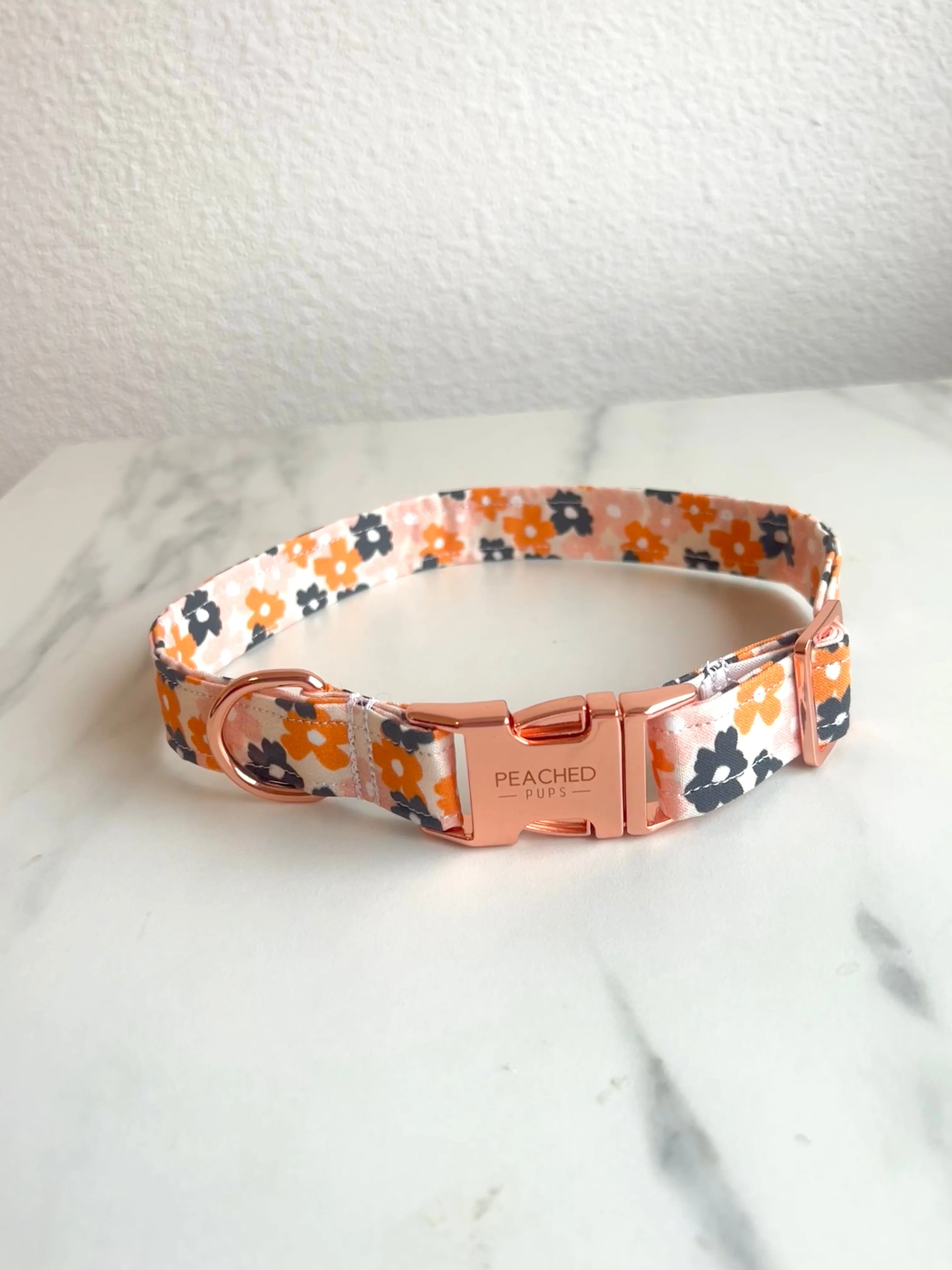 Fall Florals Fi Compatible Collar