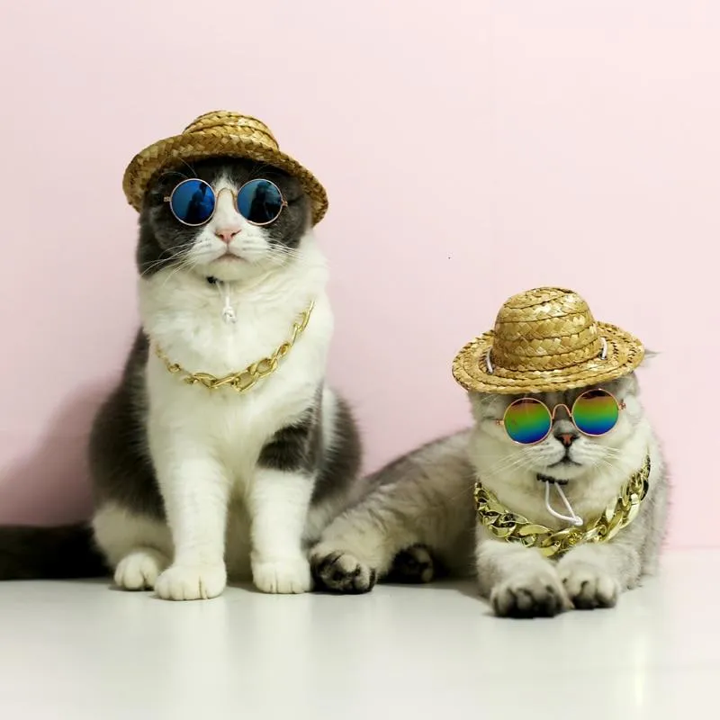 Fashion Sunglasses For Pets