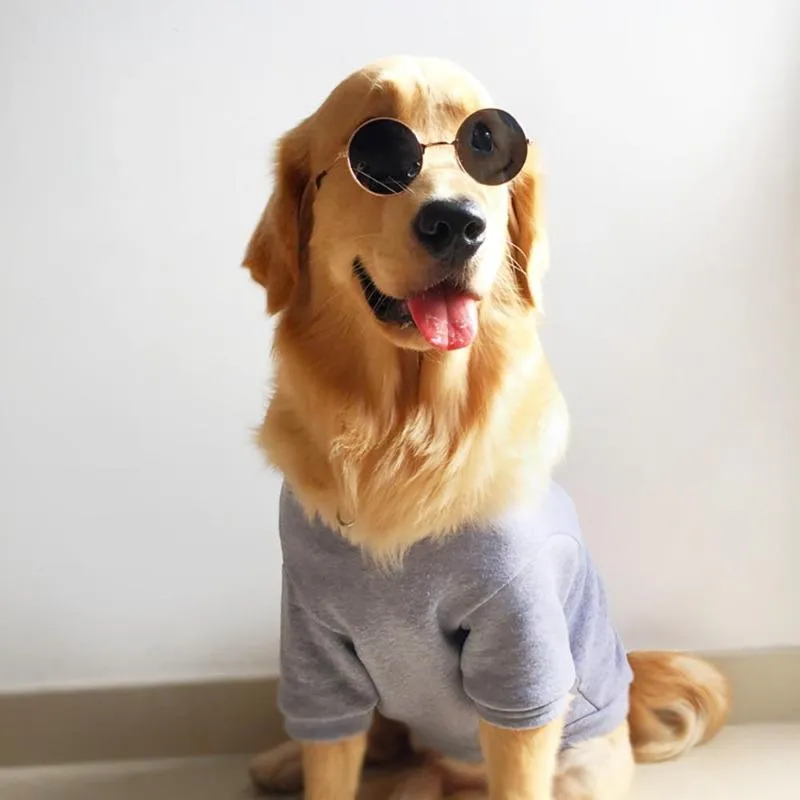 Fashion Sunglasses For Pets