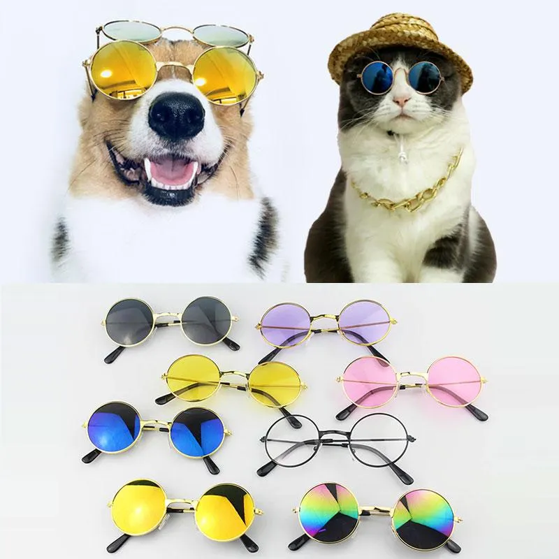 Fashion Sunglasses For Pets