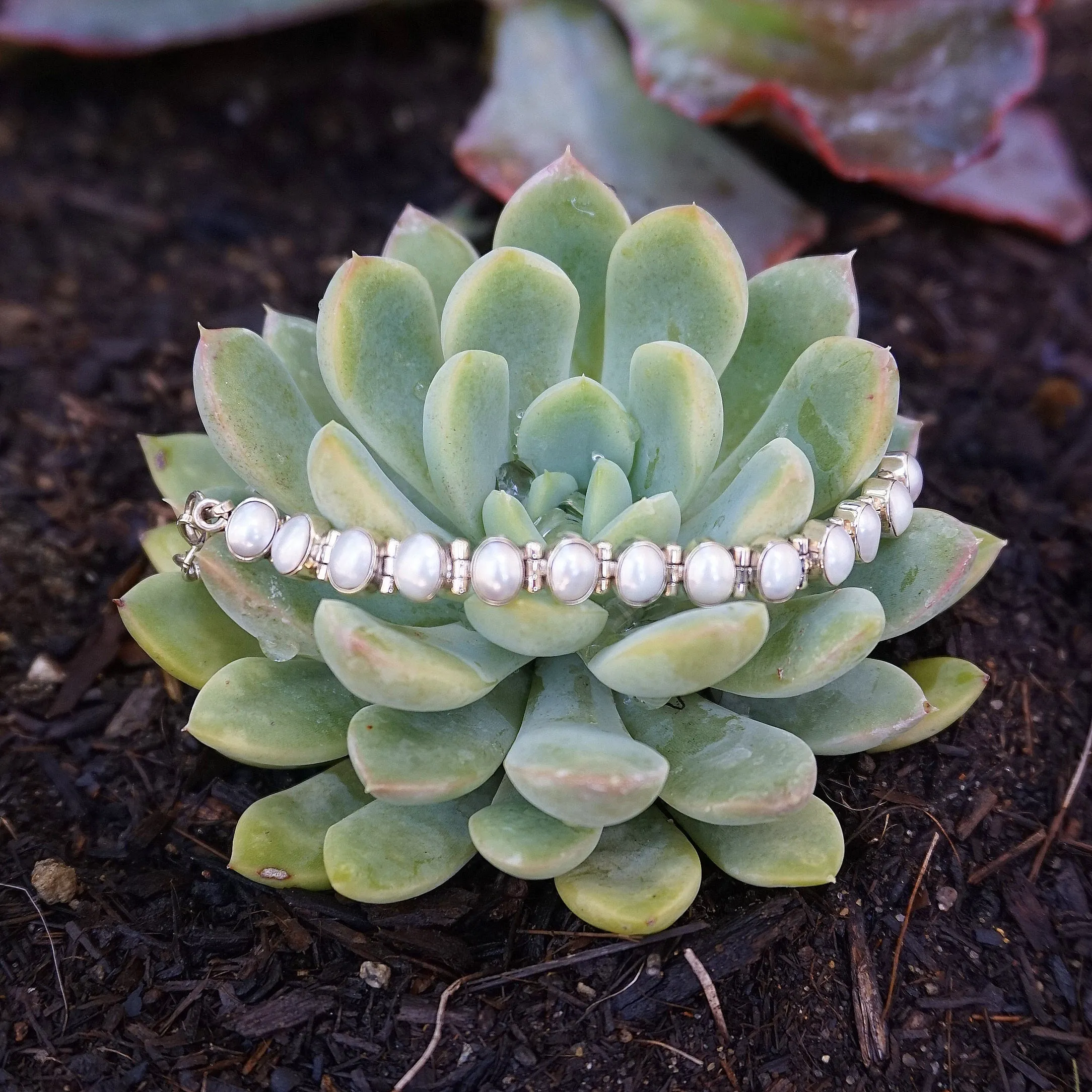 Freshwater Pearl Tennis Bracelet 1