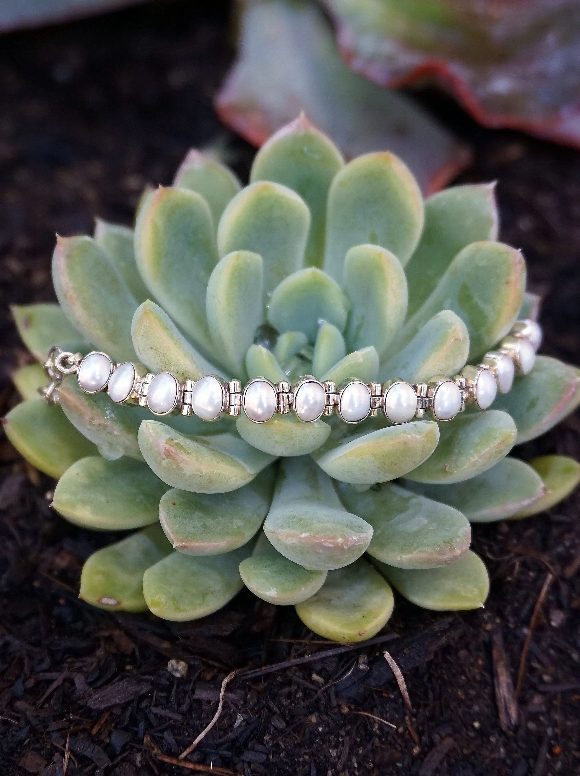 Freshwater Pearl Tennis Bracelet 1