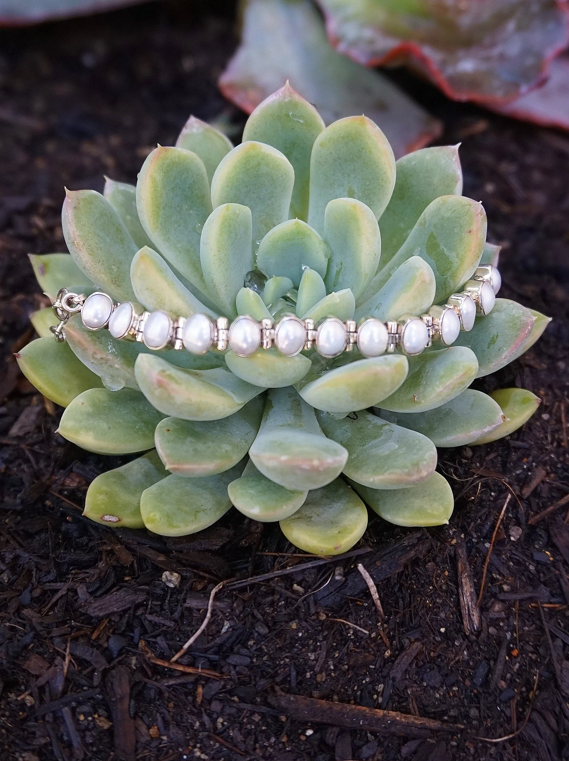 Freshwater Pearl Tennis Bracelet 1