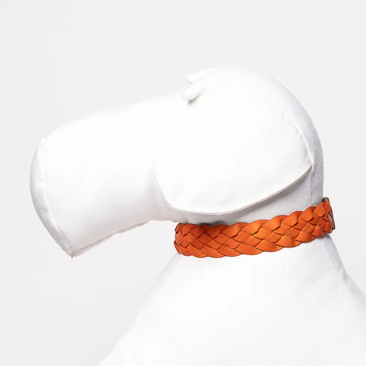 Green & Orange Braid Collar