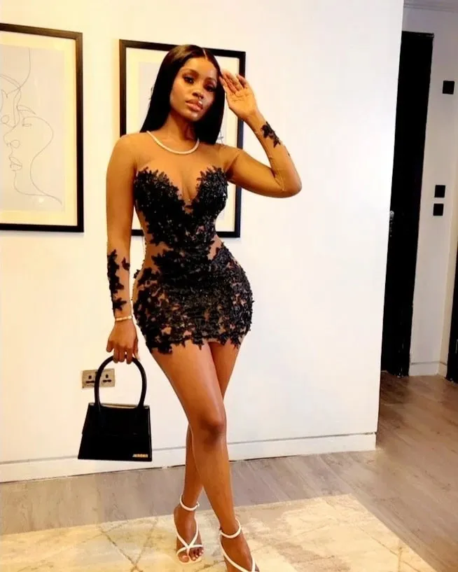 Lace Long Sleeves Sexy Tulle Sheer Dress