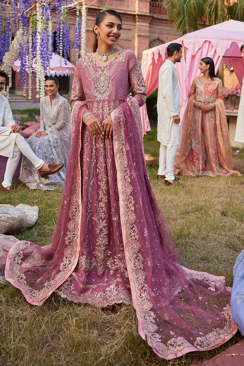 MUSHQ | IZHAR - Luxury Chiffon Collection'23 |  HANIA