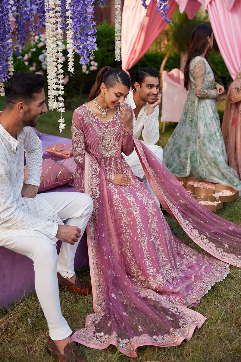MUSHQ | IZHAR - Luxury Chiffon Collection'23 |  HANIA