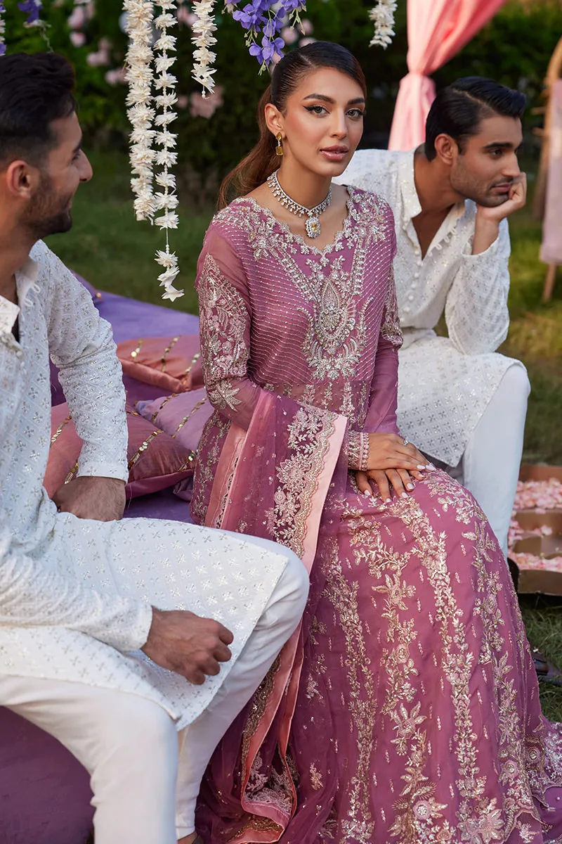 MUSHQ | IZHAR - Luxury Chiffon Collection'23 |  HANIA