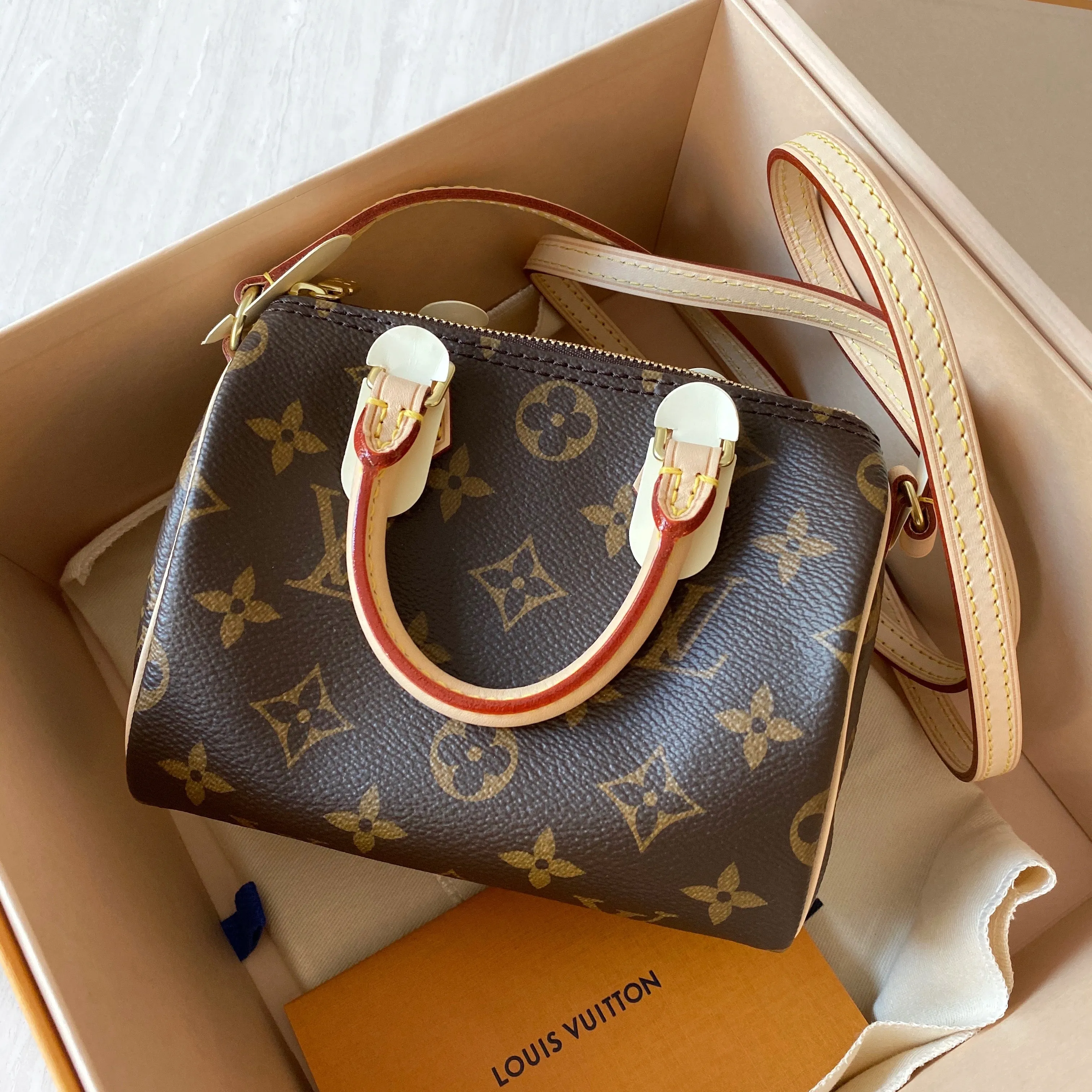 Nano Speedy in Classic Monogram
