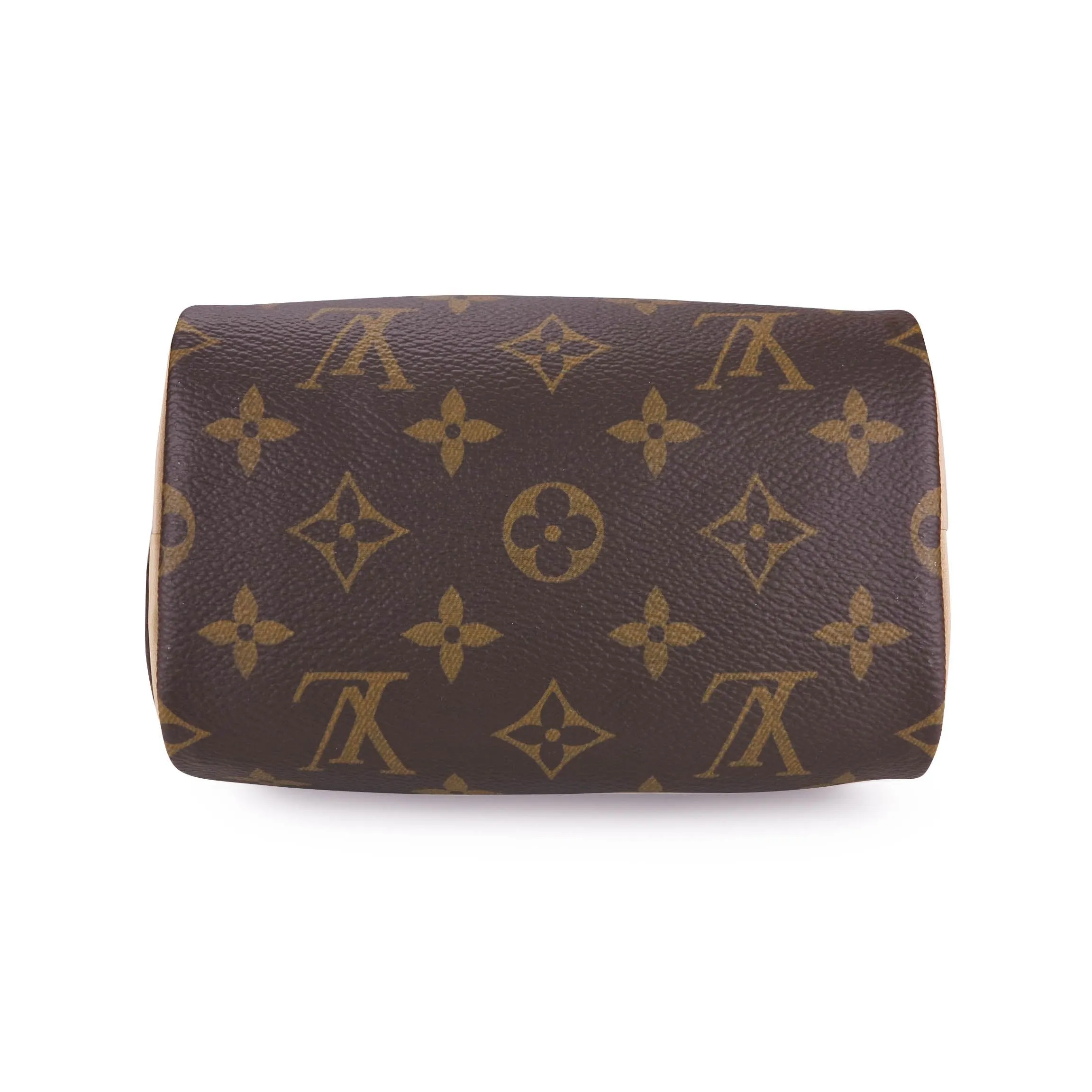 Nano Speedy in Classic Monogram