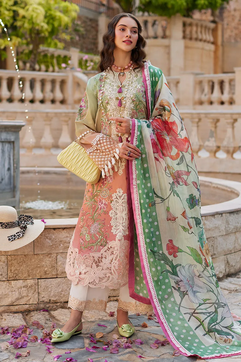 Ombre Shade Luxury Embroidered Pakistani Salwar Kameez Suit