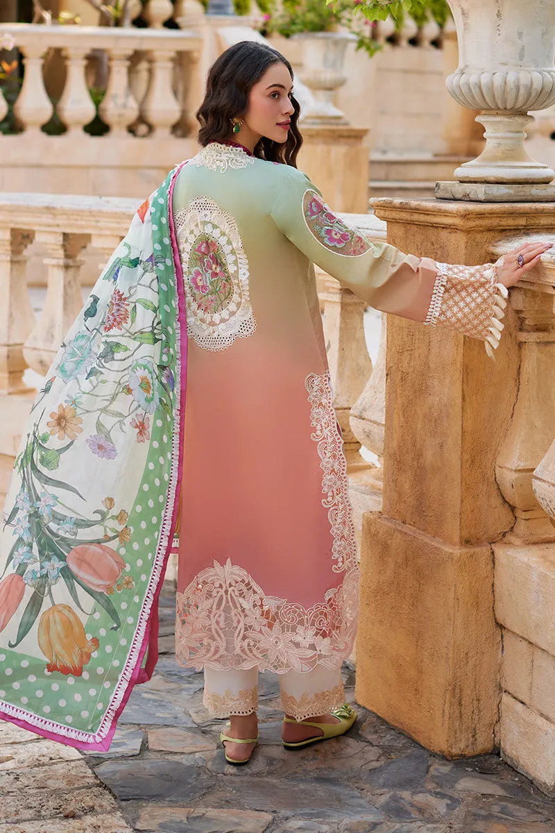 Ombre Shade Luxury Embroidered Pakistani Salwar Kameez Suit