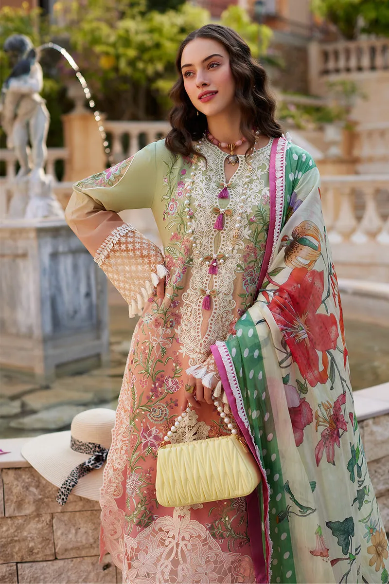 Ombre Shade Luxury Embroidered Pakistani Salwar Kameez Suit