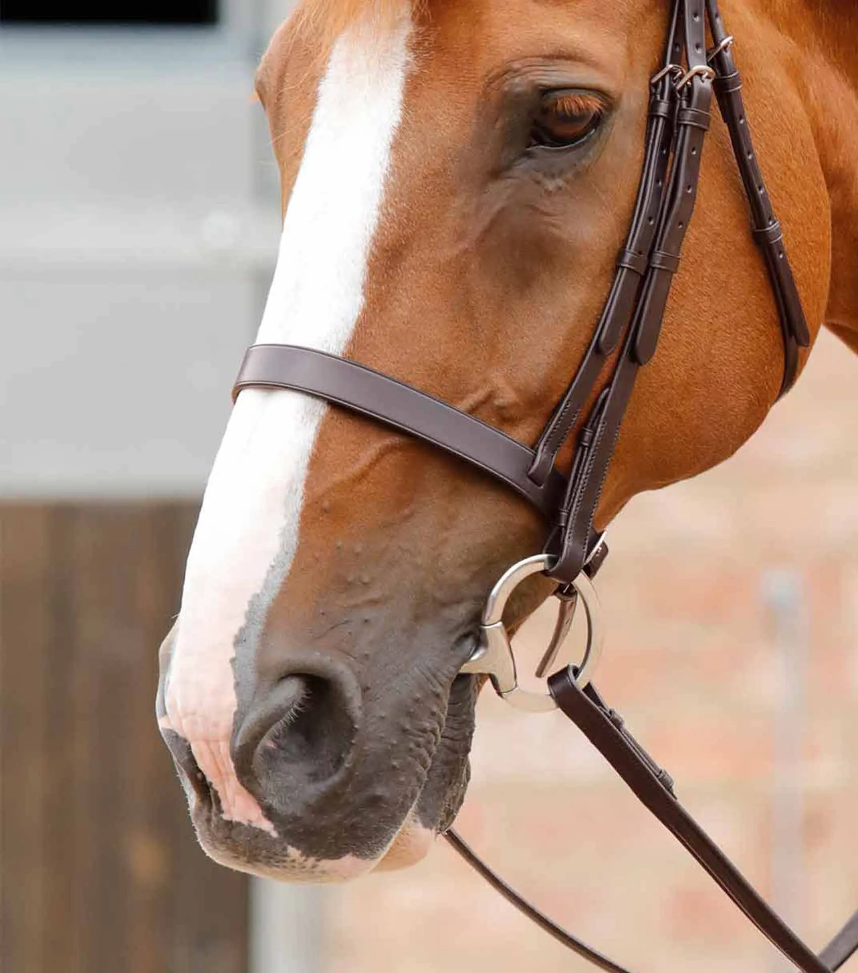 Primo Hunter Cavesson Noseband Brown