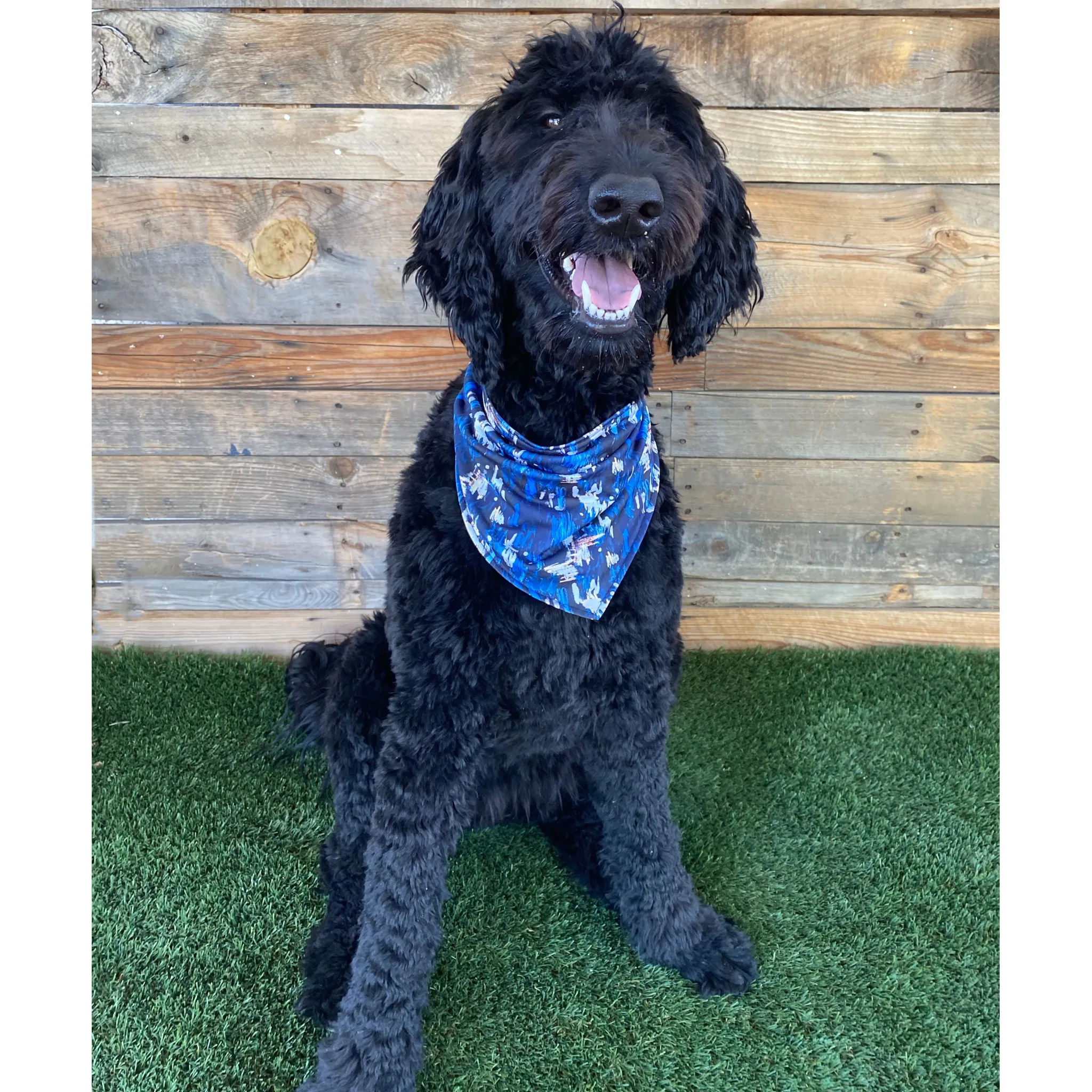 Reversible Light Blue and Navy Abstract Print Dog Swim scARF