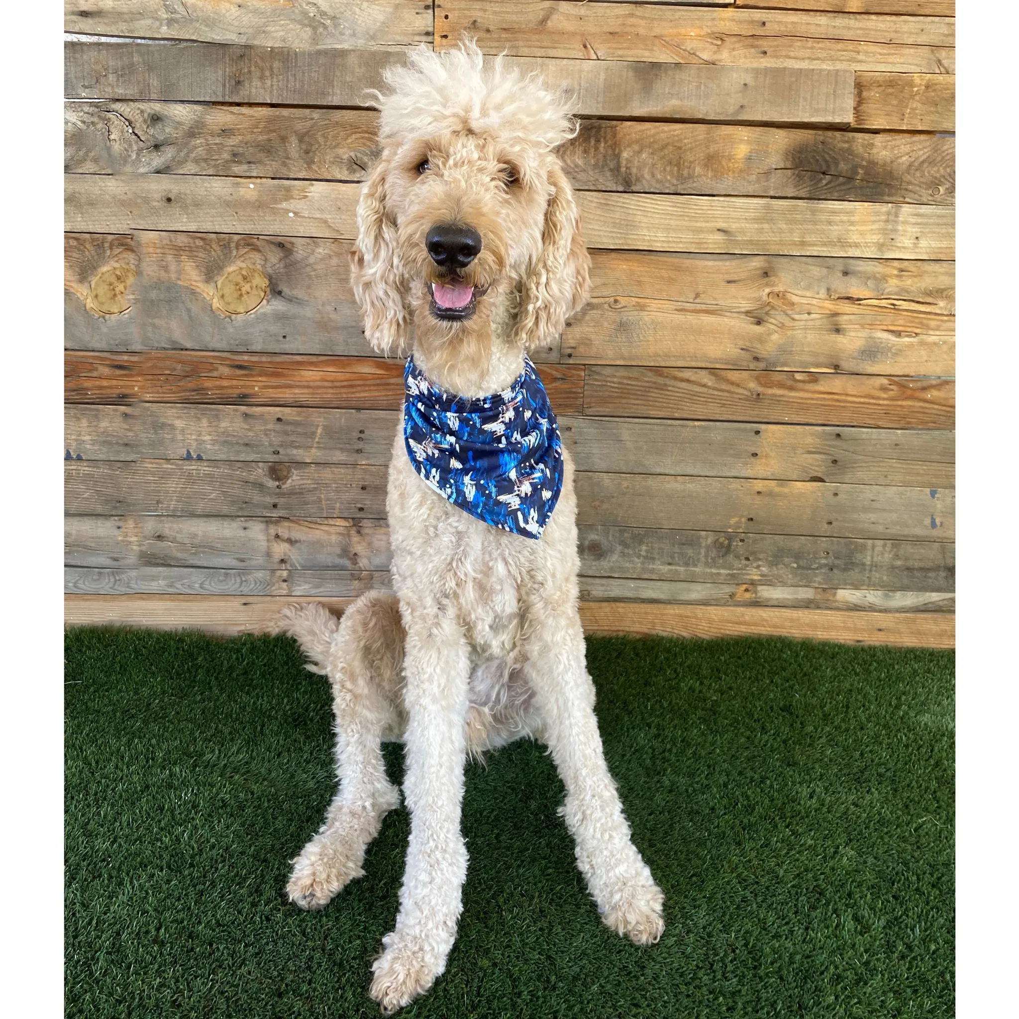 Reversible Light Blue and Navy Abstract Print Dog Swim scARF