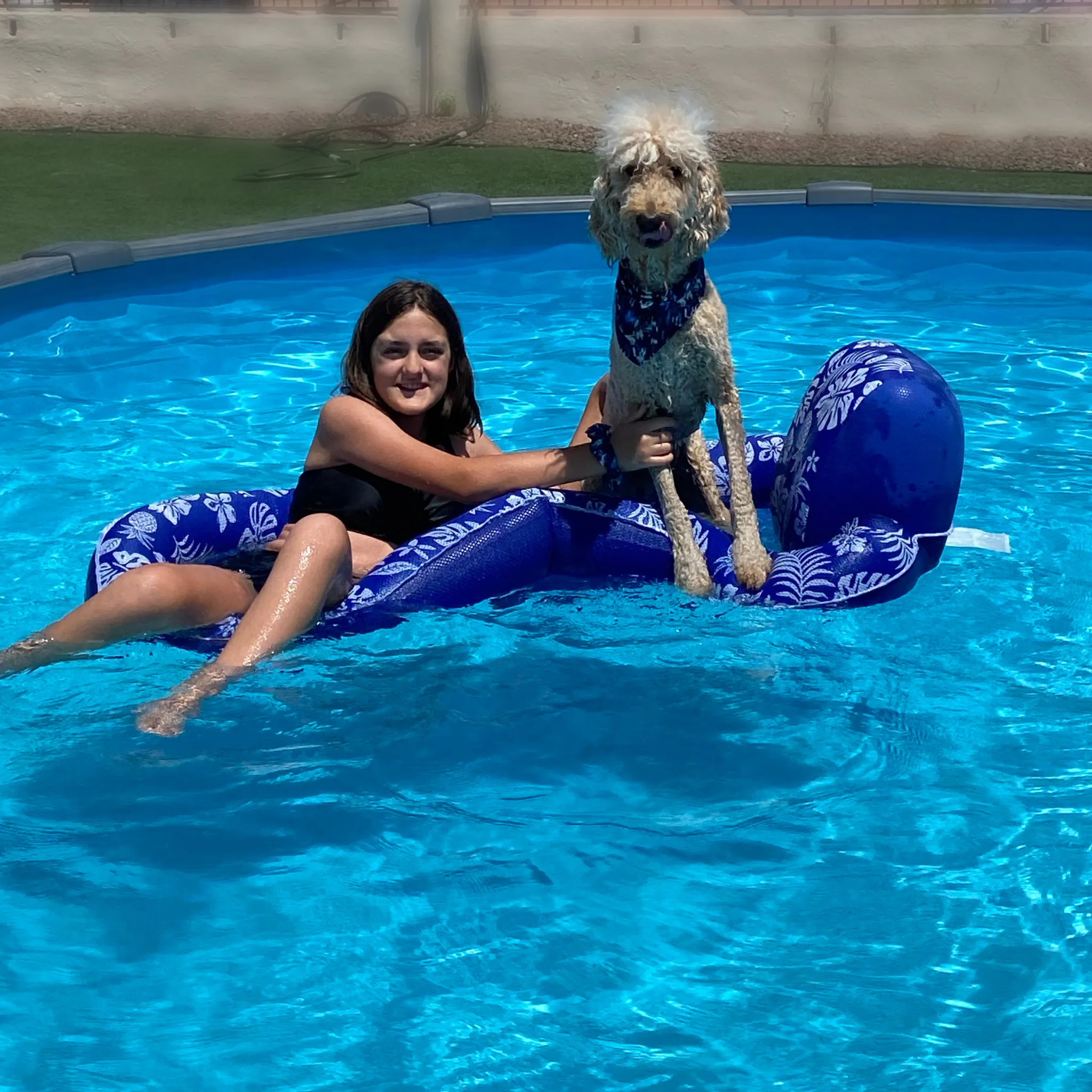 Reversible Light Blue and Navy Abstract Print Dog Swim scARF
