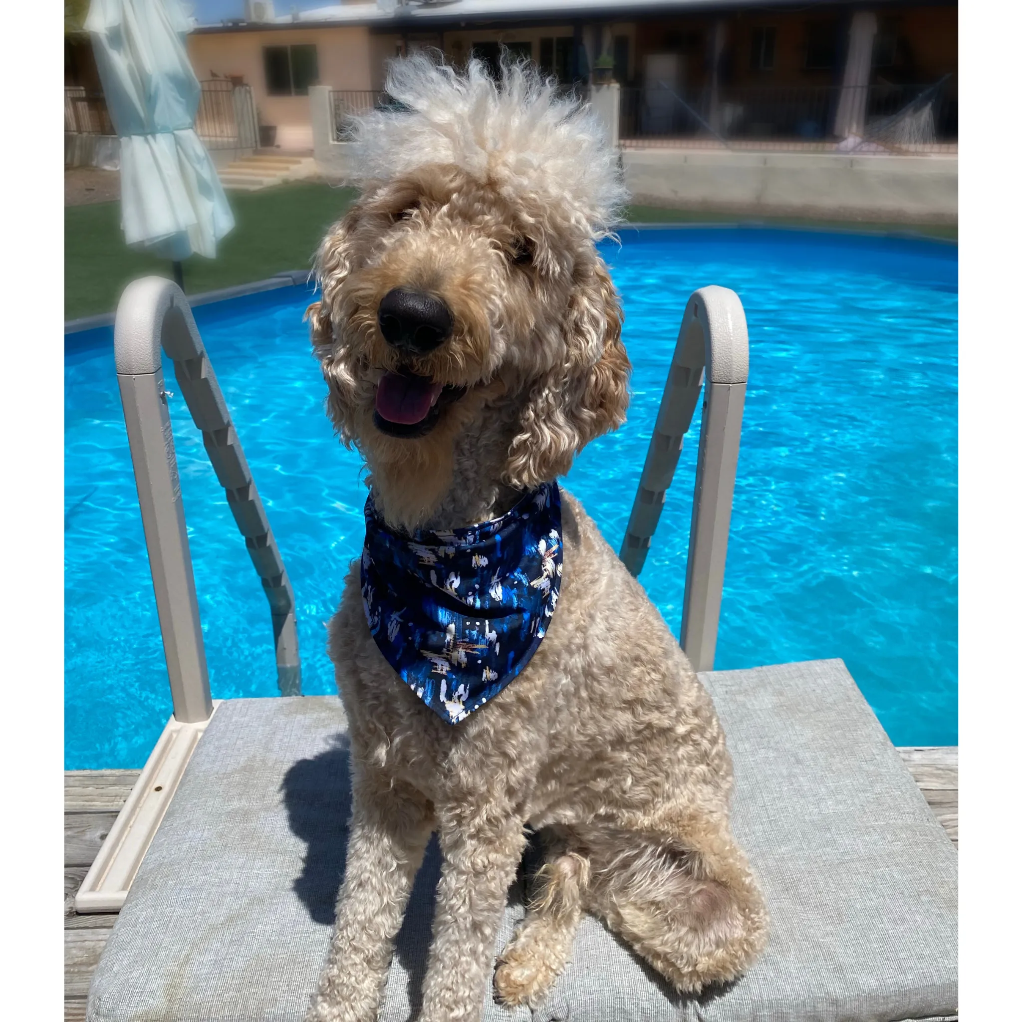 Reversible Light Blue and Navy Abstract Print Dog Swim scARF