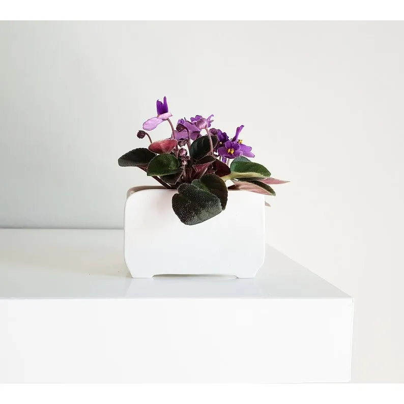 Small Orange Vintage Radio Planter