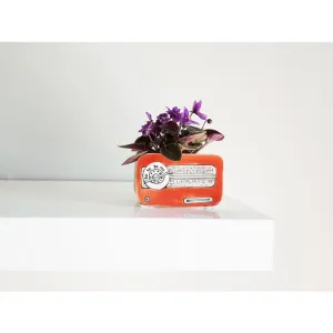 Small Orange Vintage Radio Planter