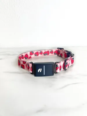 Strawberry Fields Fi Compatible Collar