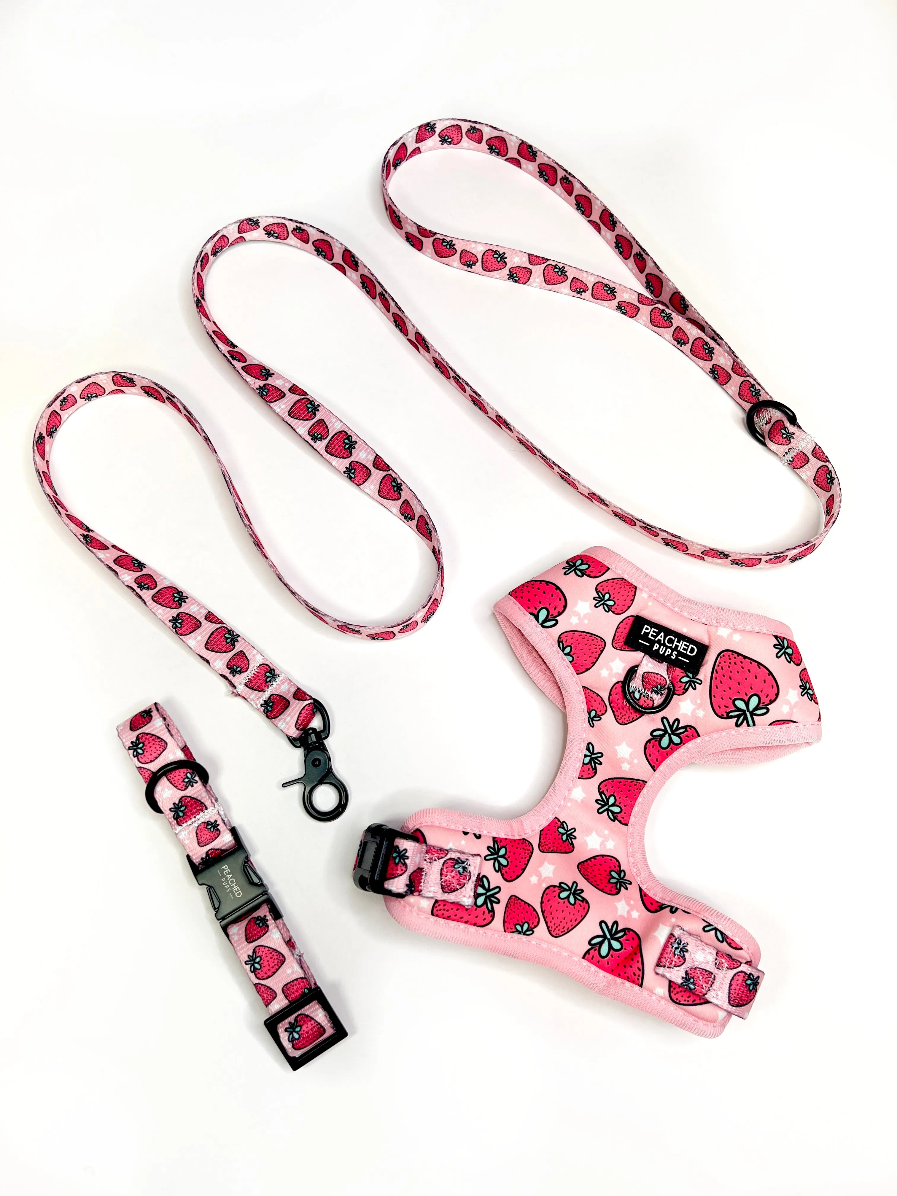 Strawberry Fields Fi Compatible Collar