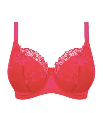 Teagan EL302615 Padded Half Cup Bra - Fashion