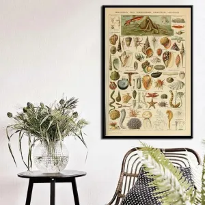 Vintage Ocean Lives Chart Wall Poster Print