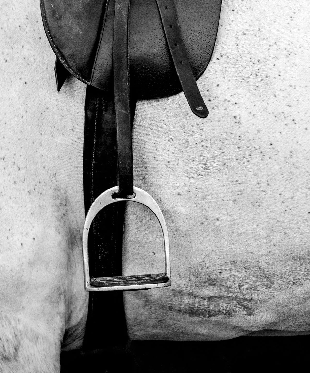 Vintage Saddle by Georgina Preston