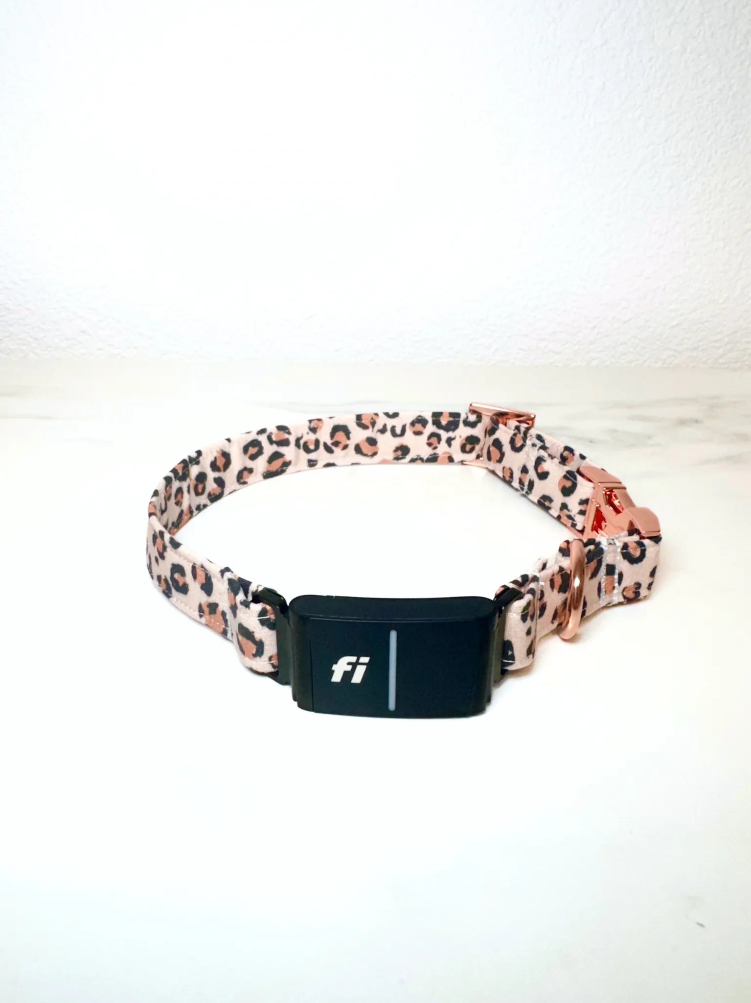 Wild Thing Fi Compatible Collar