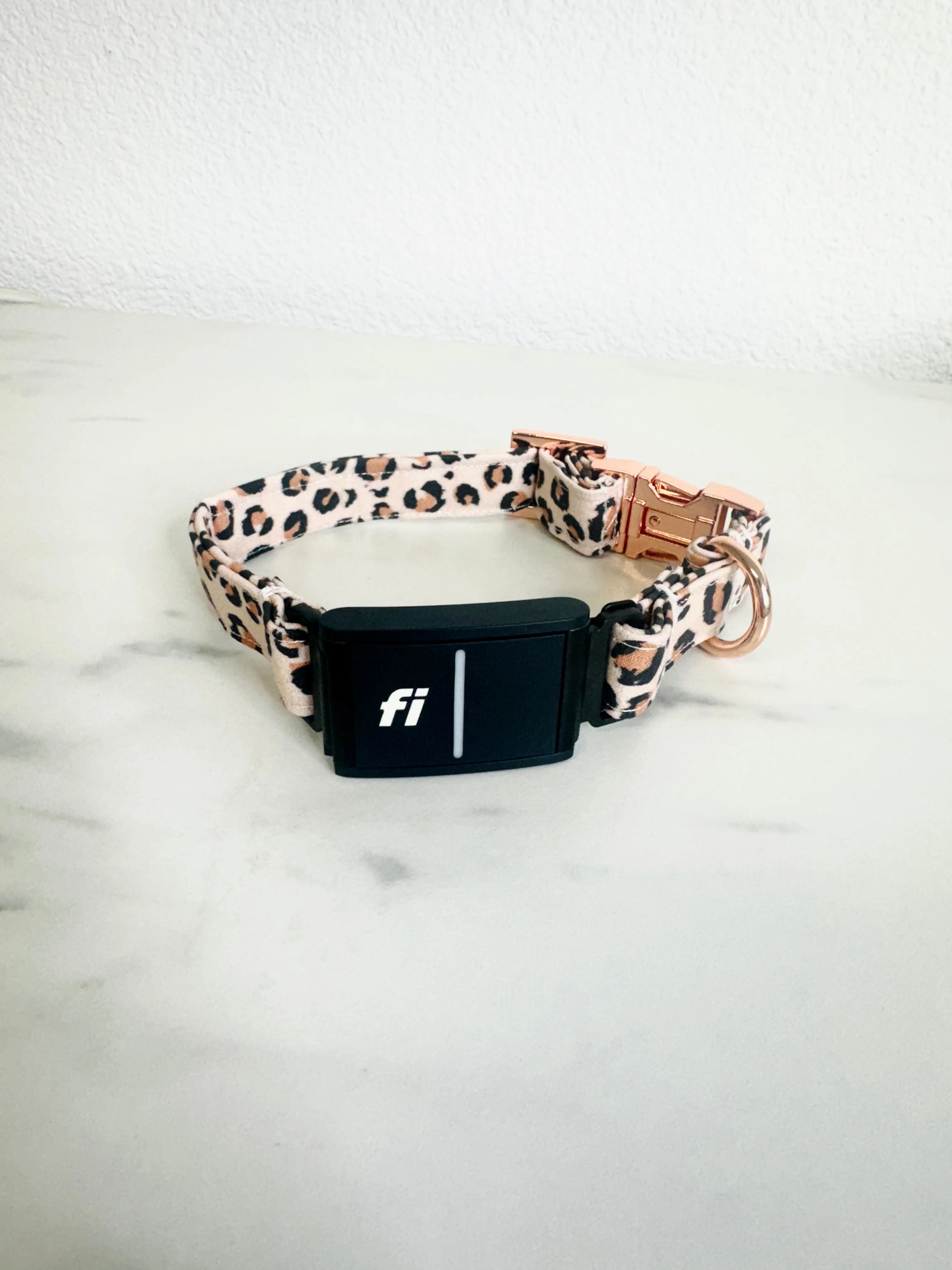 Wild Thing Fi Compatible Collar
