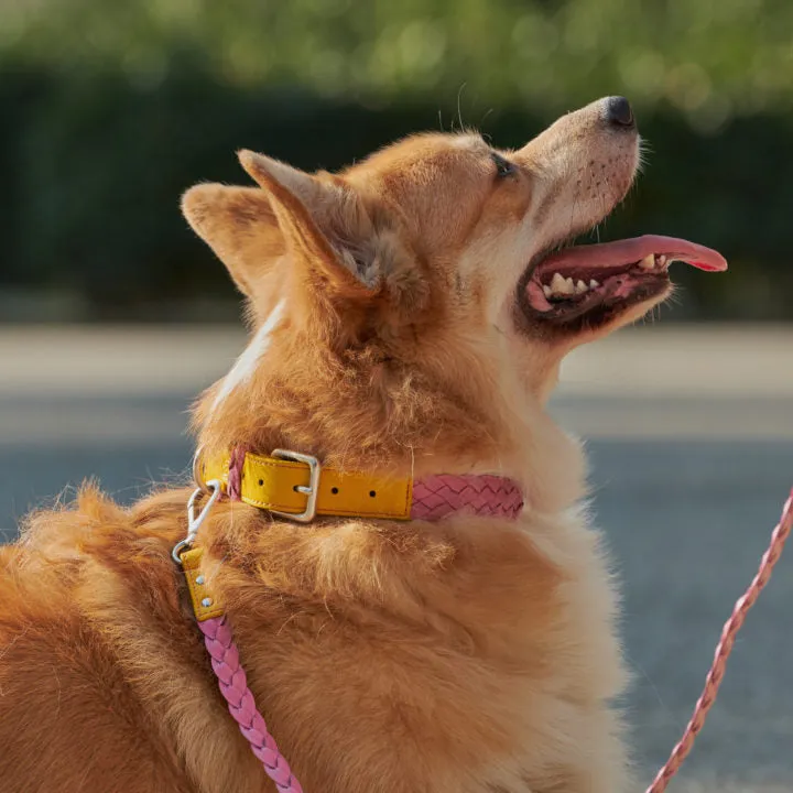 Yellow & Pink Braid Collar