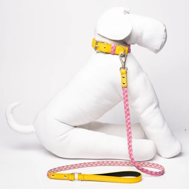 Yellow & Pink Braid Collar
